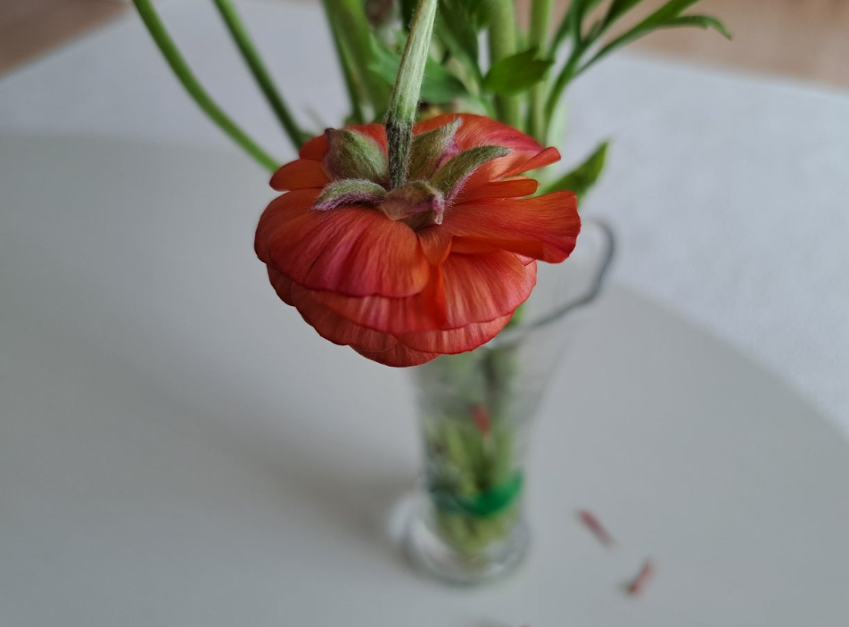 2024-04-04 퇴직일기-6.png