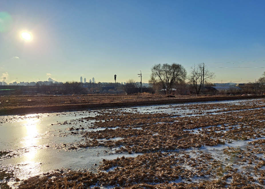 2024-01-24 (시를 다시 생각하다-1).png