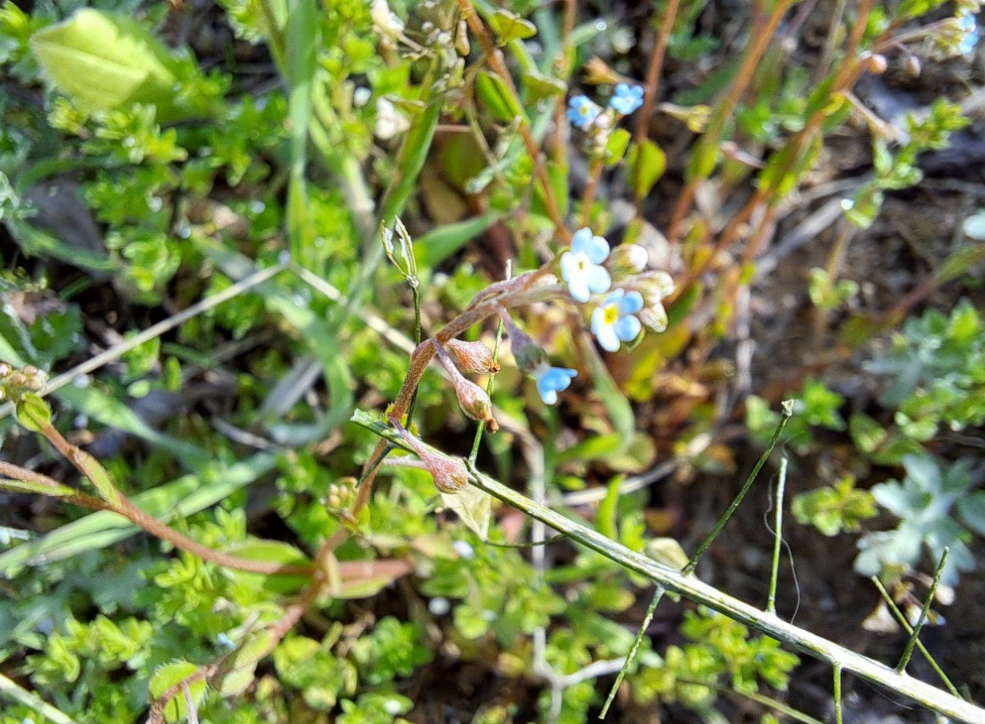 2024-04-19 퇴직일기15.png