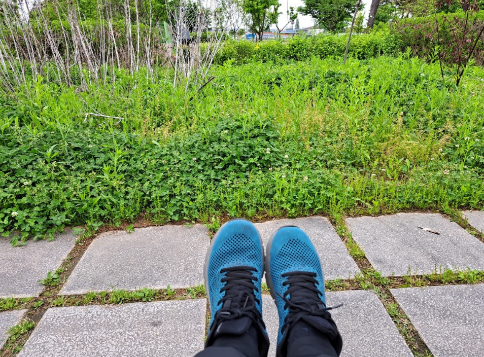 2024-05-02 걷기3.png