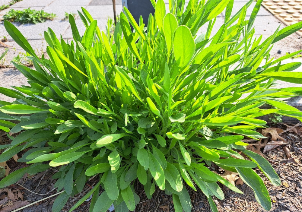 2024-04-19 퇴직일기6.png