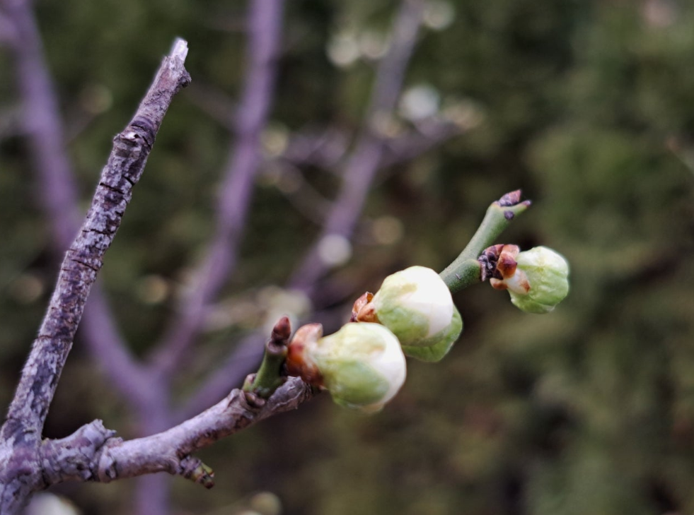 2024-03-20 (책꼬리-2).png