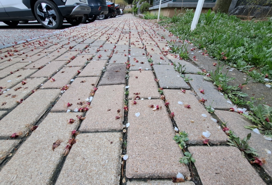 2024-04-04 퇴직일기-9.png