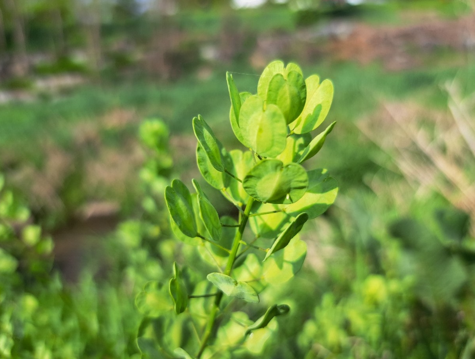 2024-04-19 퇴직일기8.png