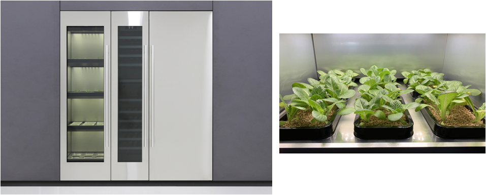 LG전자 식물재배기와 야채.png