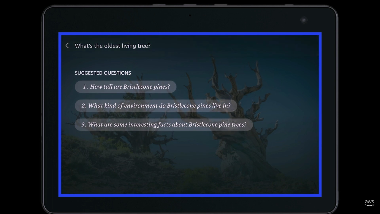 conversational exploration.png