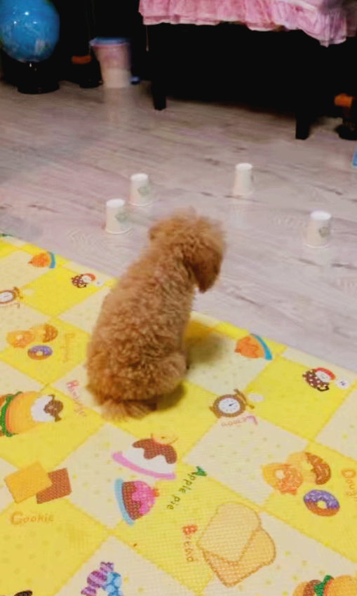 스크린샷 2024-04-30 오후 2.11.56.png