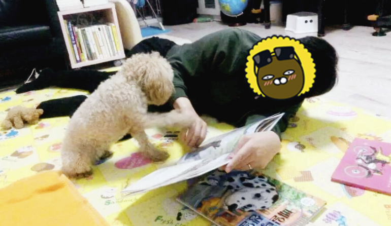 스크린샷 2024-04-30 오후 2.31.21.png