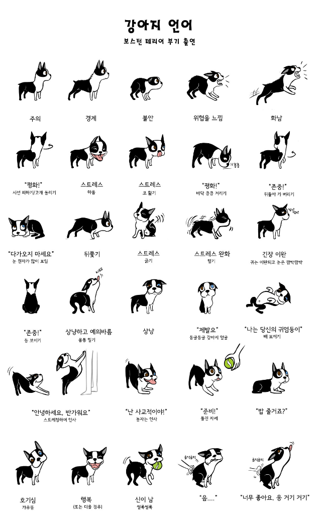 스크린샷 2024-04-30 오후 12.41.36.png