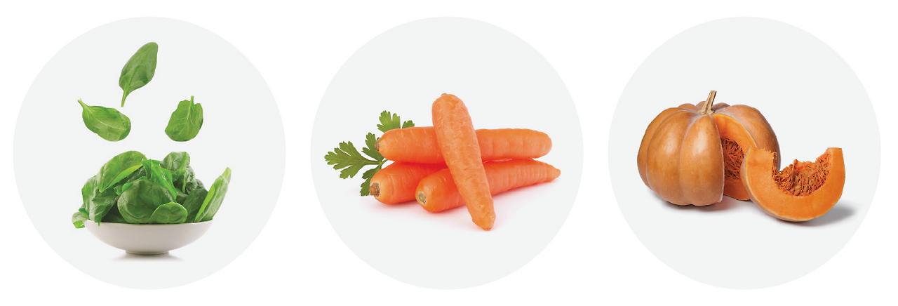 눈건강 영양식품.png