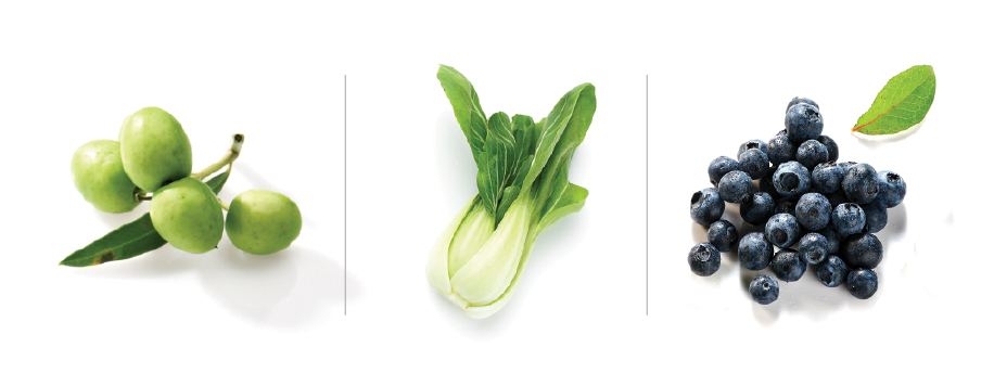 뼈 급원식품.png