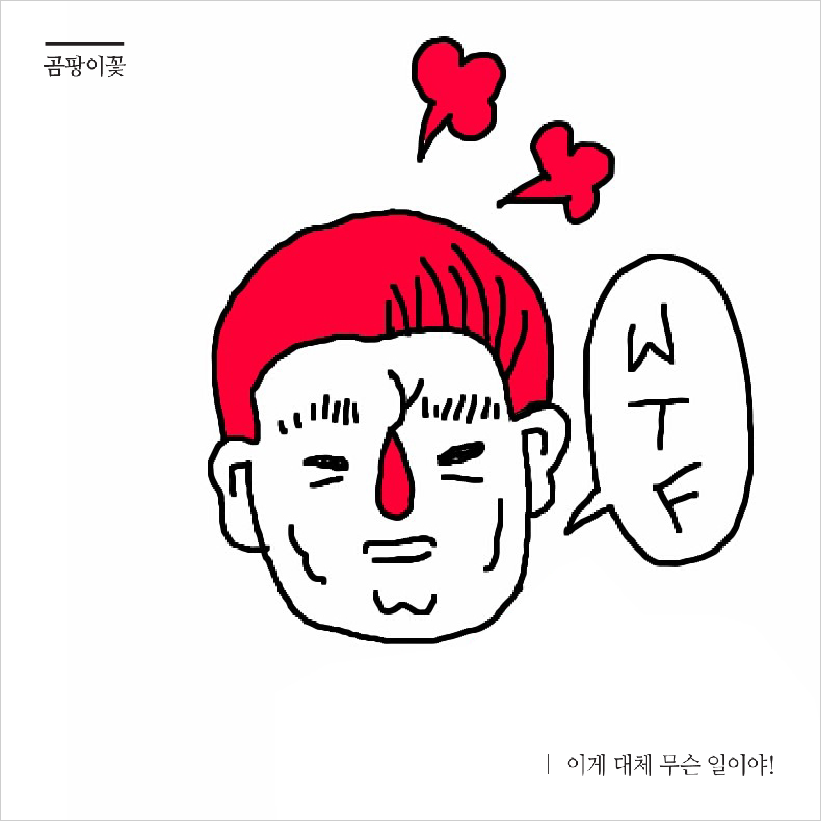 170330_곰팡이꽃-이게 대체 무슨 일이야_커버디자인.png