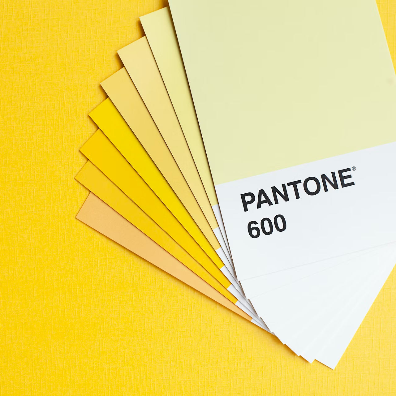 PANTONE_COPPERANDWILD.png