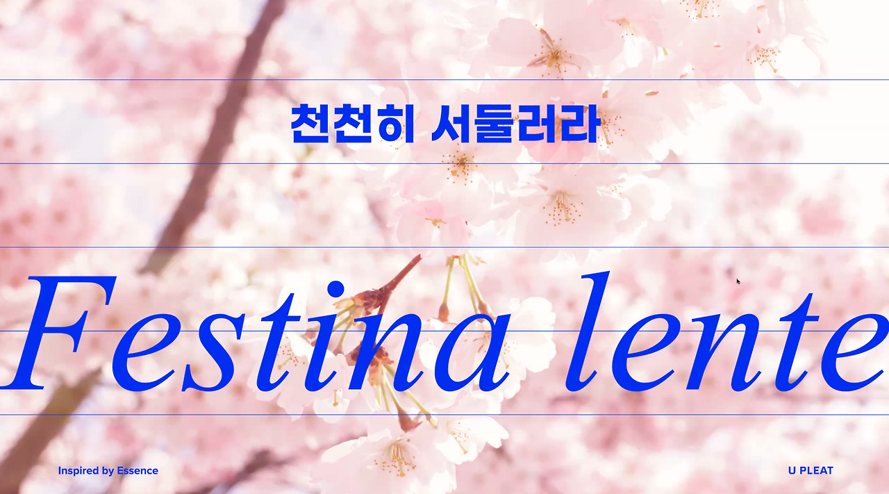 3월 천천히 서둘러라.png