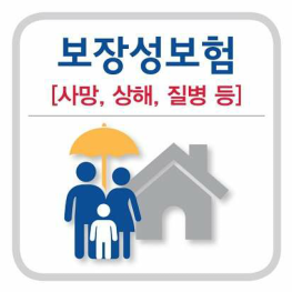 보장성.PNG.png