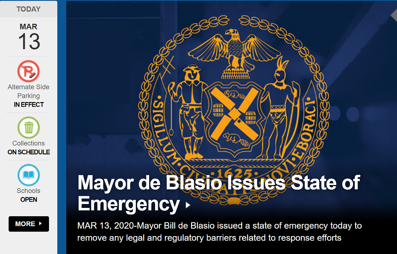 Welcome to NYC gov   City of New York.png