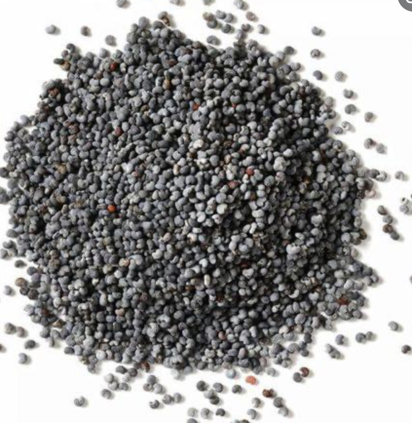 스크린샷 2021-09-17 오후 2.32.02.png