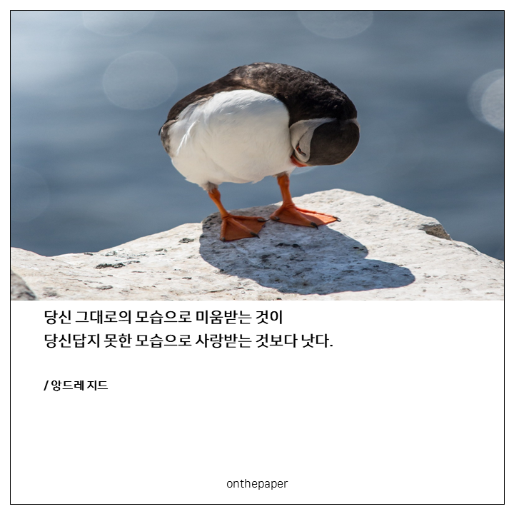 20190305_오늘의한마디_있는그대로.png
