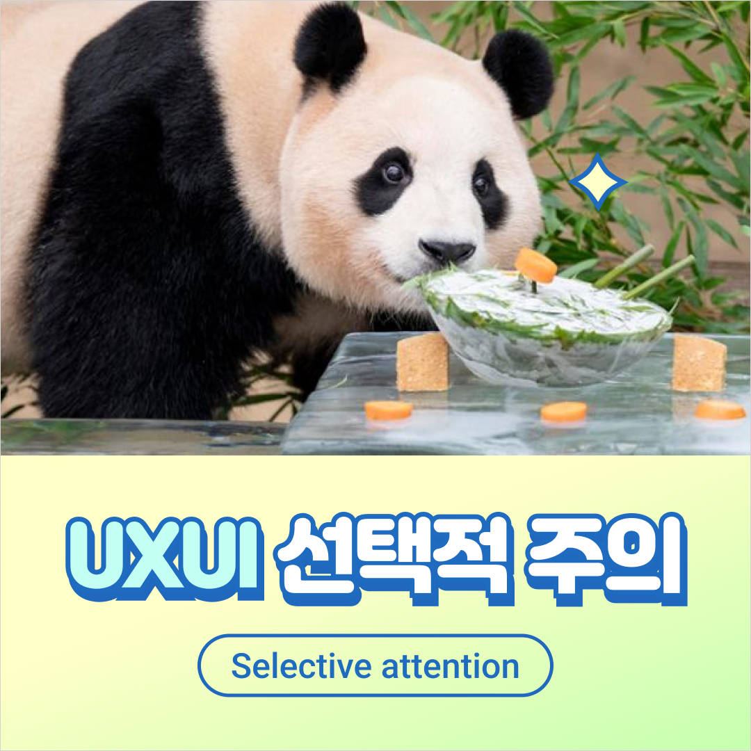 푸바오 선택적 주의01.png