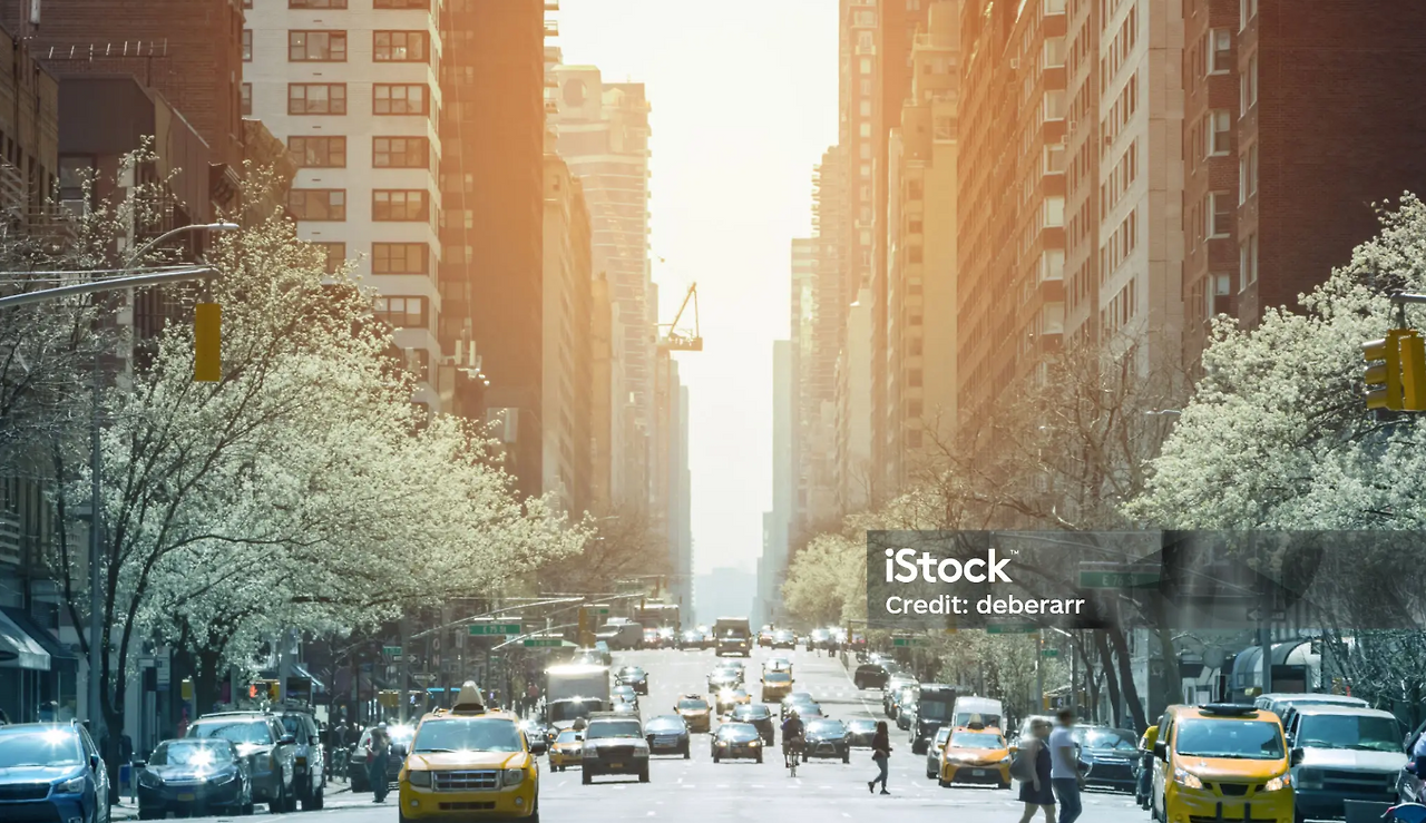 스크린샷 2024-09-30 121105.png