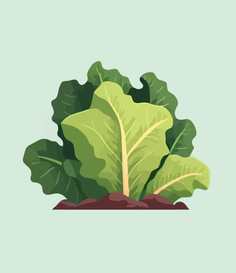 스크린샷 2025-11-07 190432.png