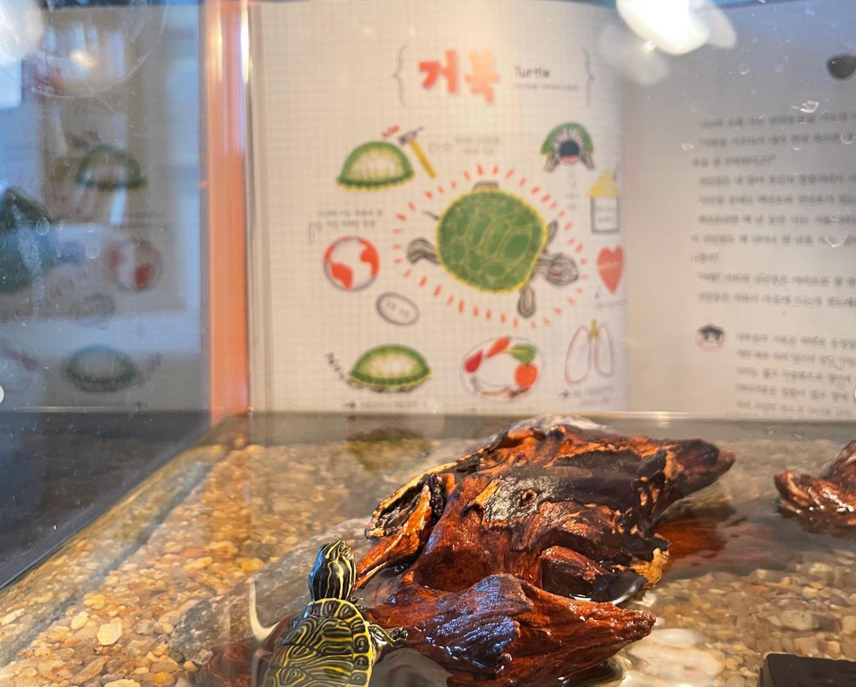 스크린샷 2024-11-08 235528.png