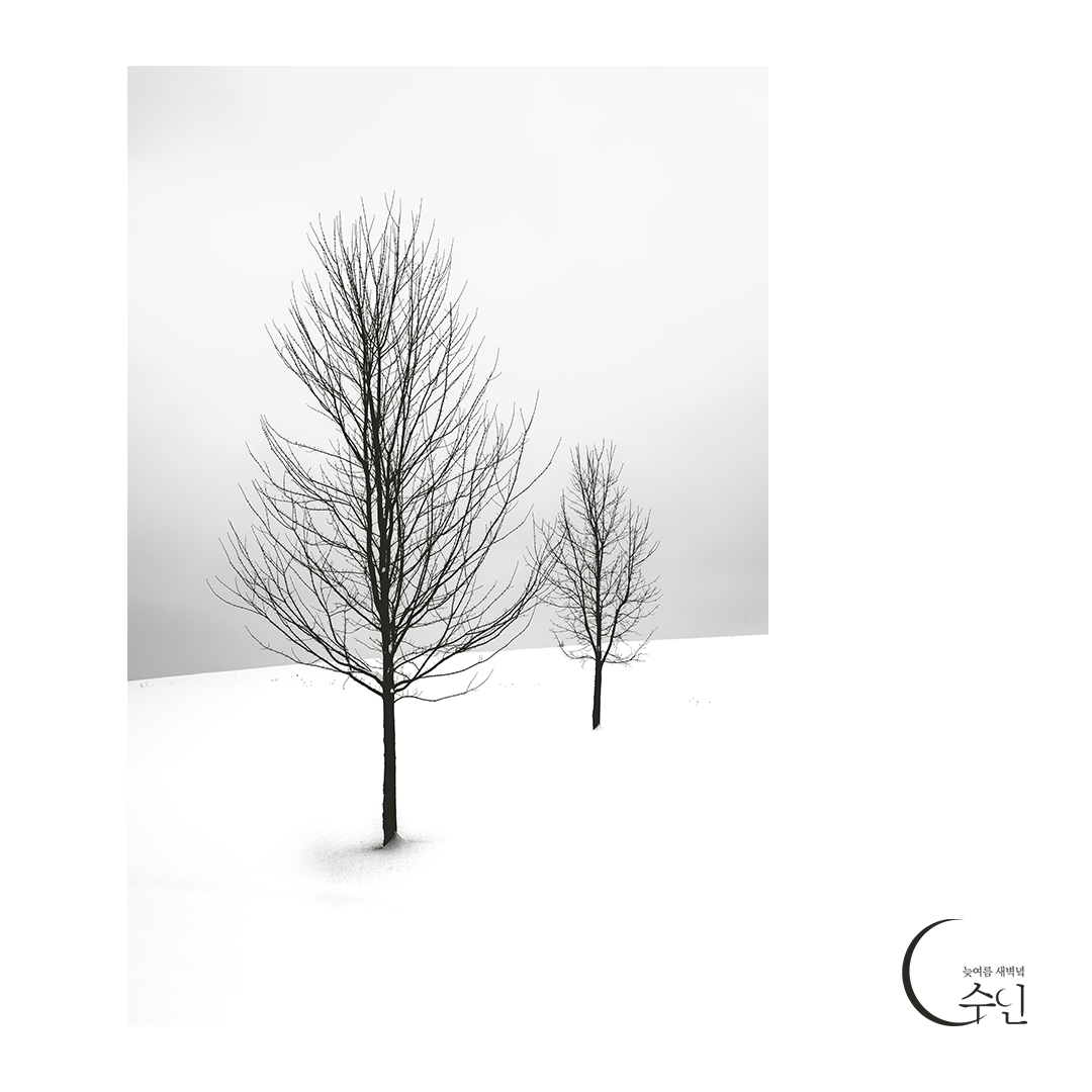 겨울 나무.png