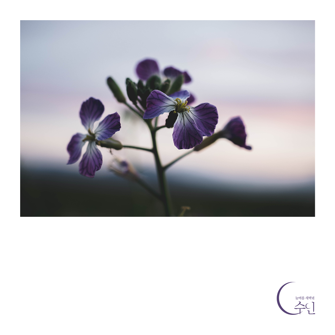 그 중에 나도 있다.png