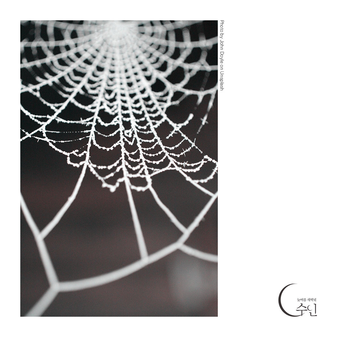 거미줄.png