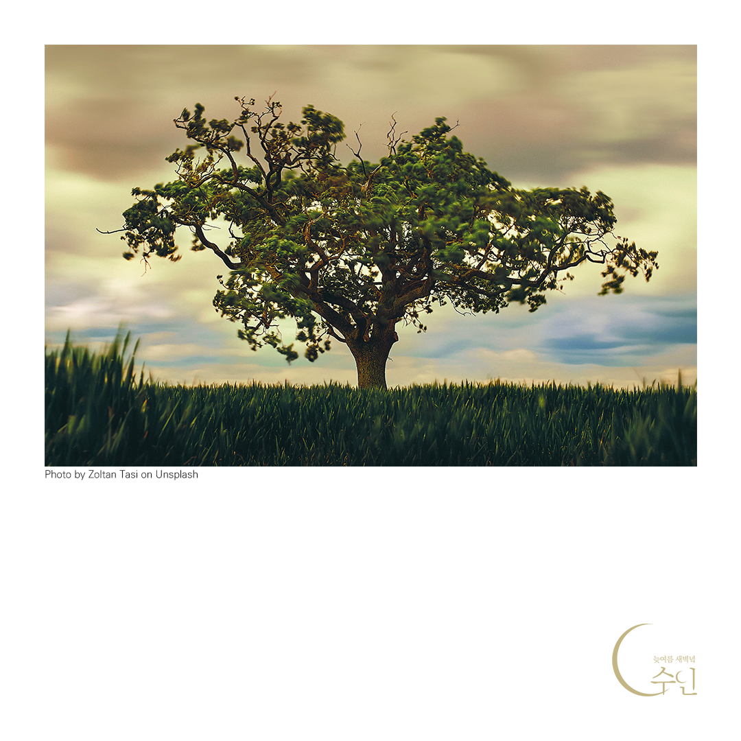 미움 한 그루.png