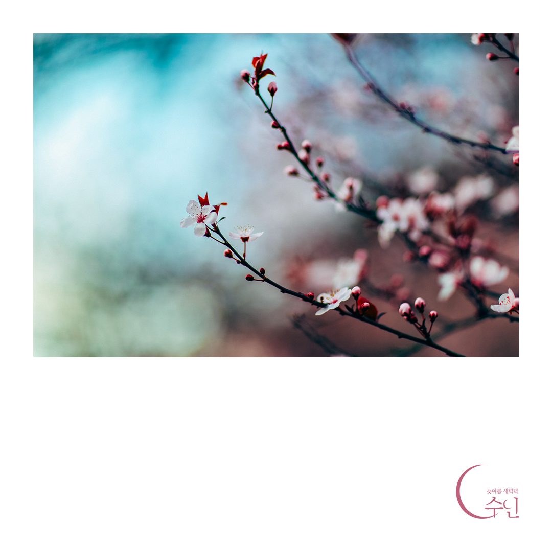 꽃샘추위.png