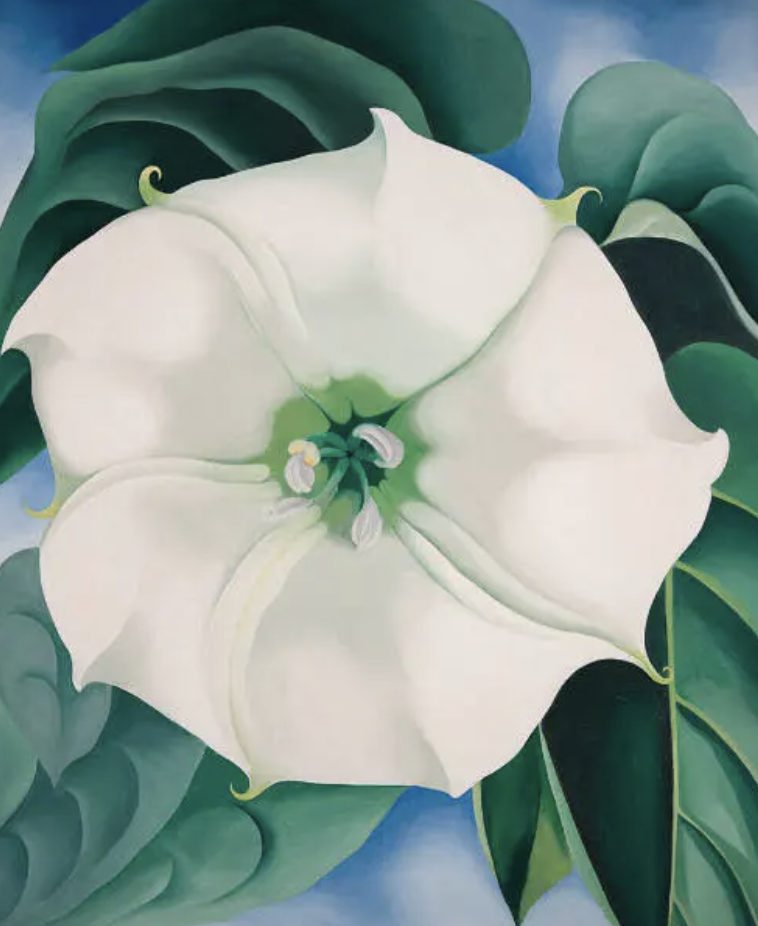 스크린샷 2026-01-16 오후 12.51.14.png