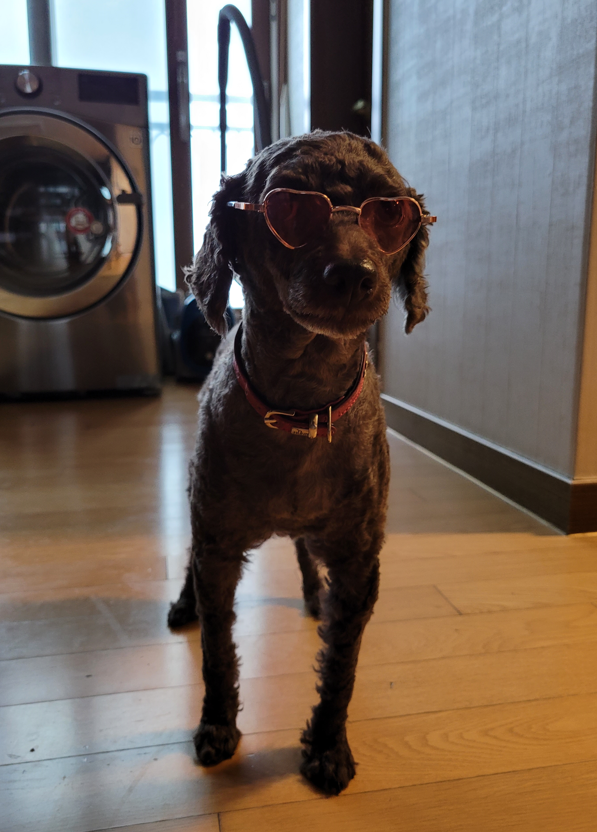 화면 캡처 2021-08-26 144810.png