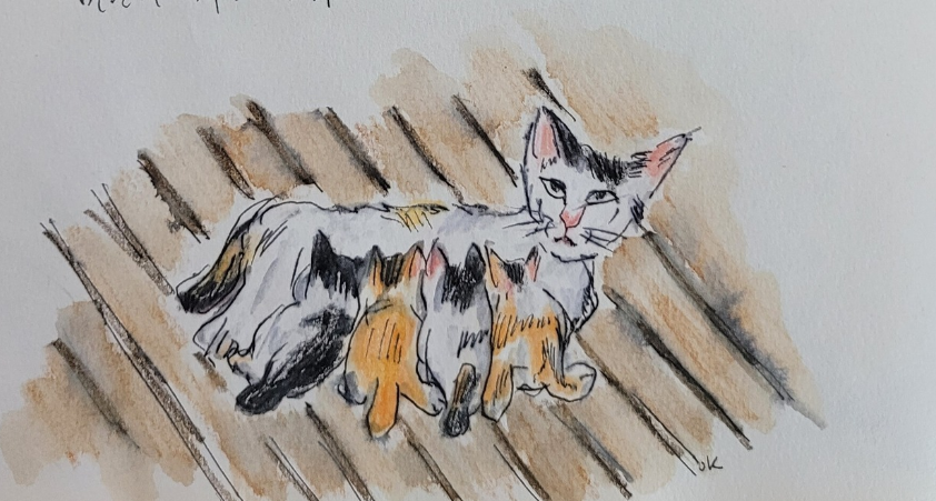 스크린샷 2023-10-20 165402.png