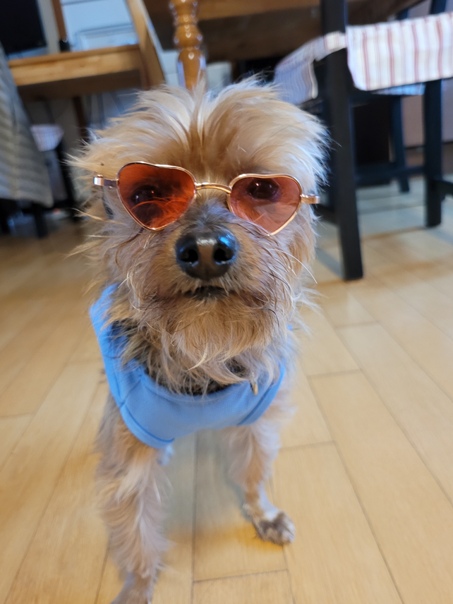 화면 캡처 2021-08-26 144931.png