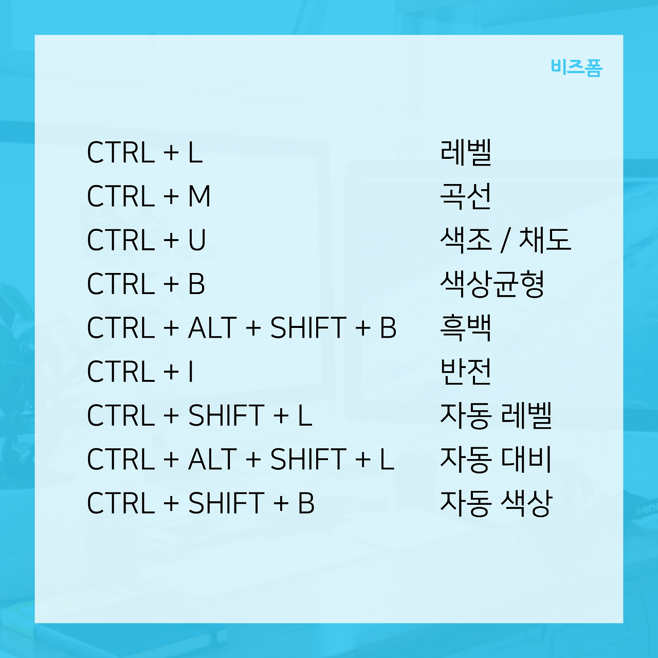 대지 5.png