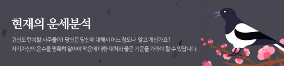 6비즈폼운세_현재운.png