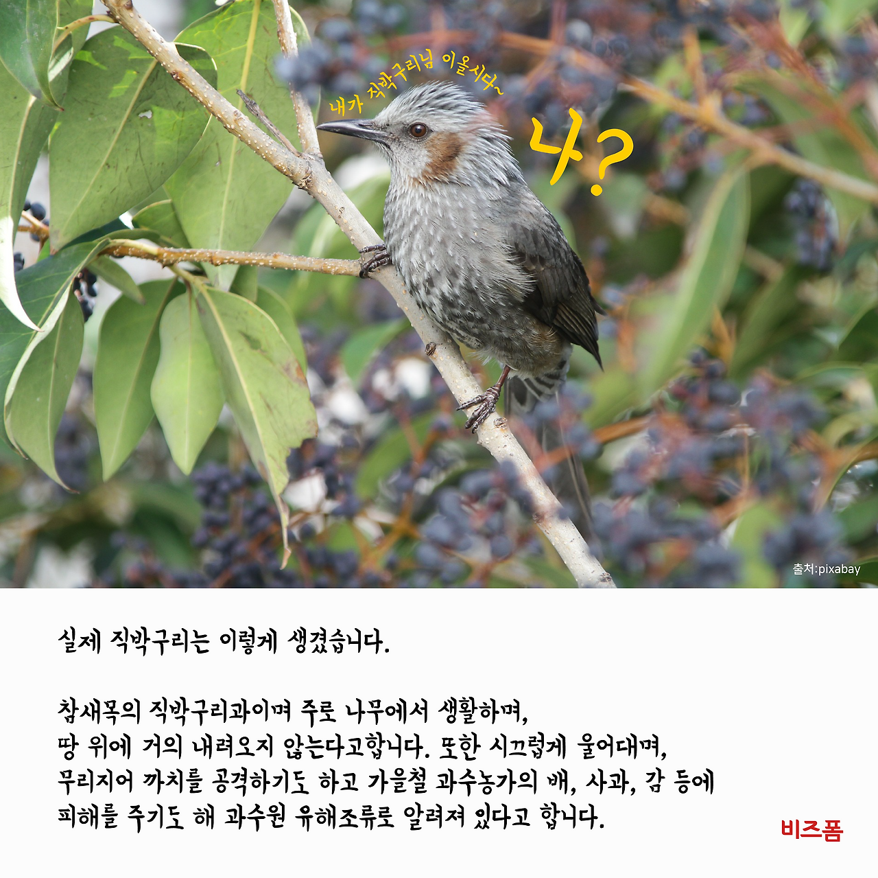 새폴더인이유3.png