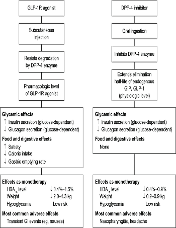 Comparison-of-GLP-1-agonists-and-DPP-4-inhibitors.png