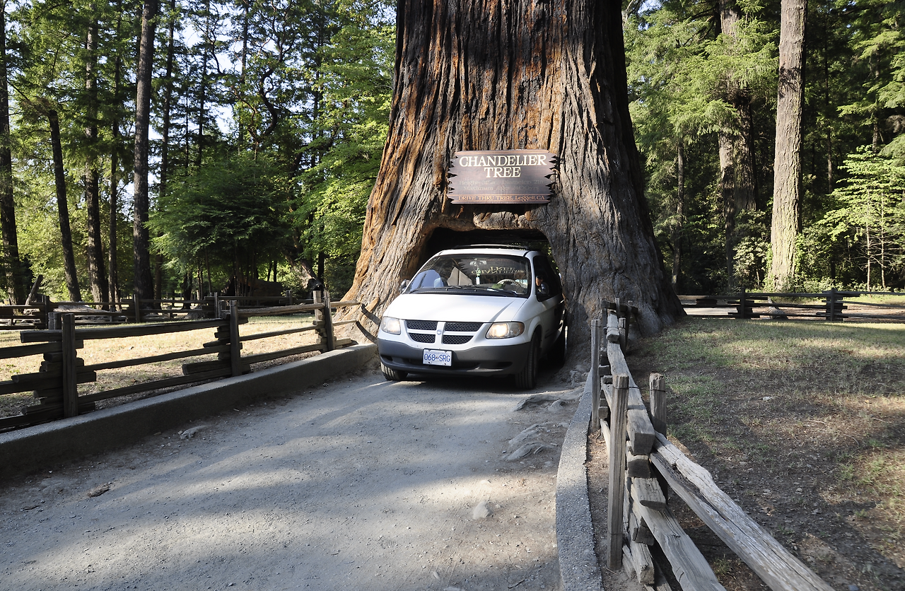 Screenshot 2025-04-07 at 2.39.01 AM.png