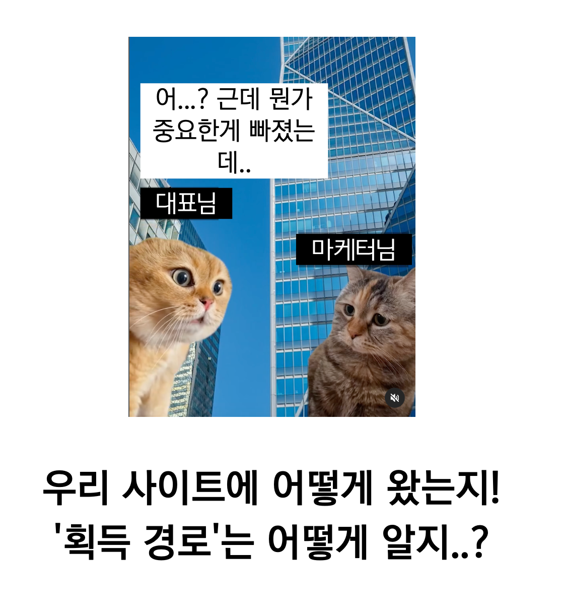 스크린샷 2025-06-19 오후 2.33.05.png