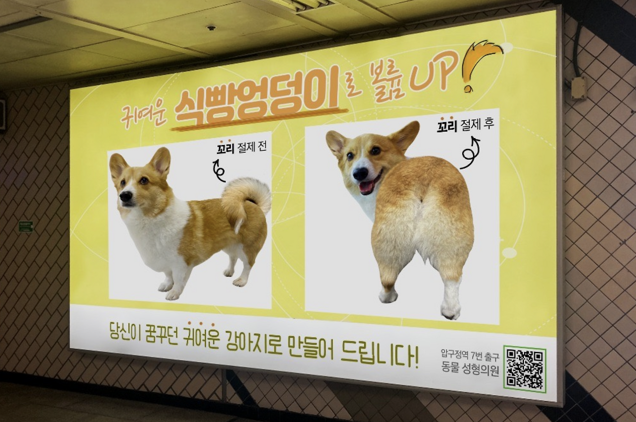 스크린샷 2025-05-20 오전 10.29.52.png