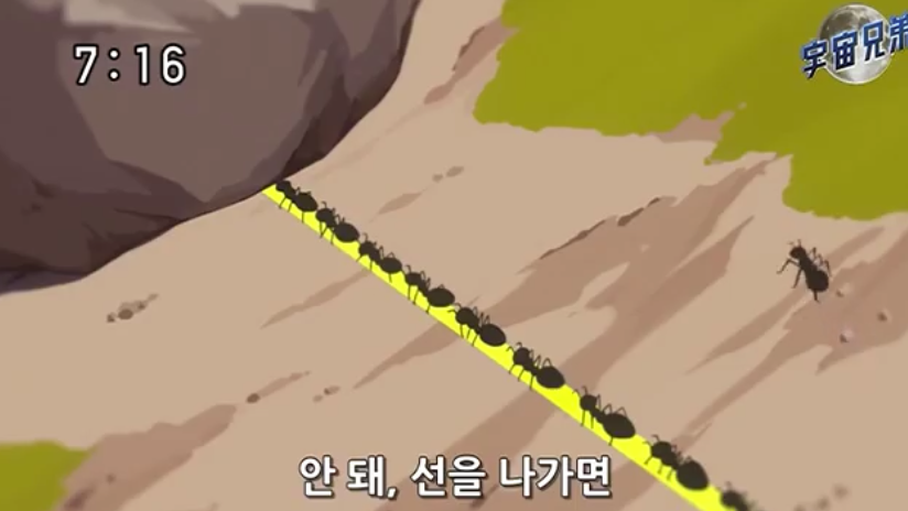 스크린샷 2025-10-24 오후 2.10.07.png