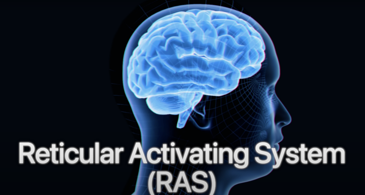 스크린샷 2025-02-07 오전 10.27.21.png