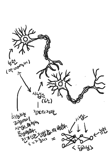 neuron.png