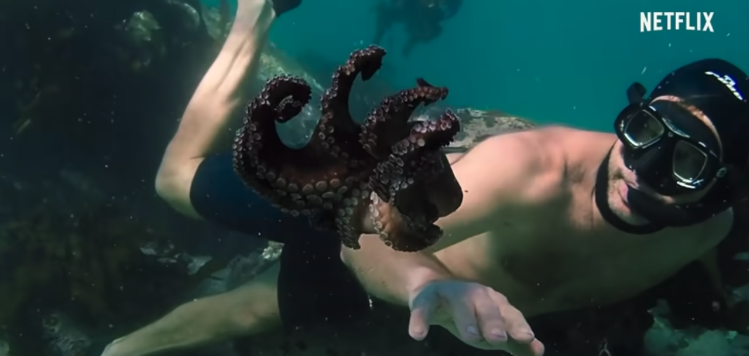 스크린샷 2020-12-26 오후 9.08.19.png