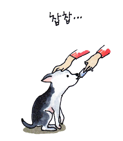 1주사기 브런치.png