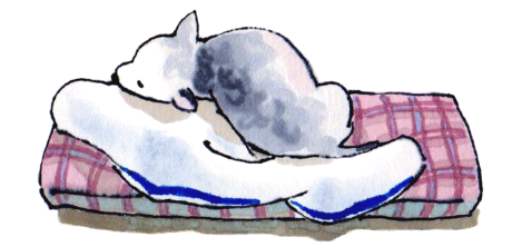 1 잔다 무배경.png