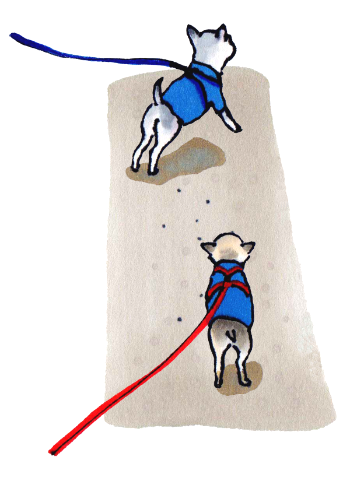 0 뛰지마 강아지들.png