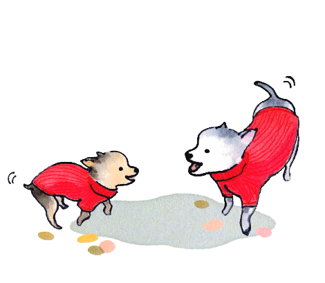 0 웃는 강아지 웹.png